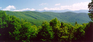 A view of Hubbard Brook south facing watersheds